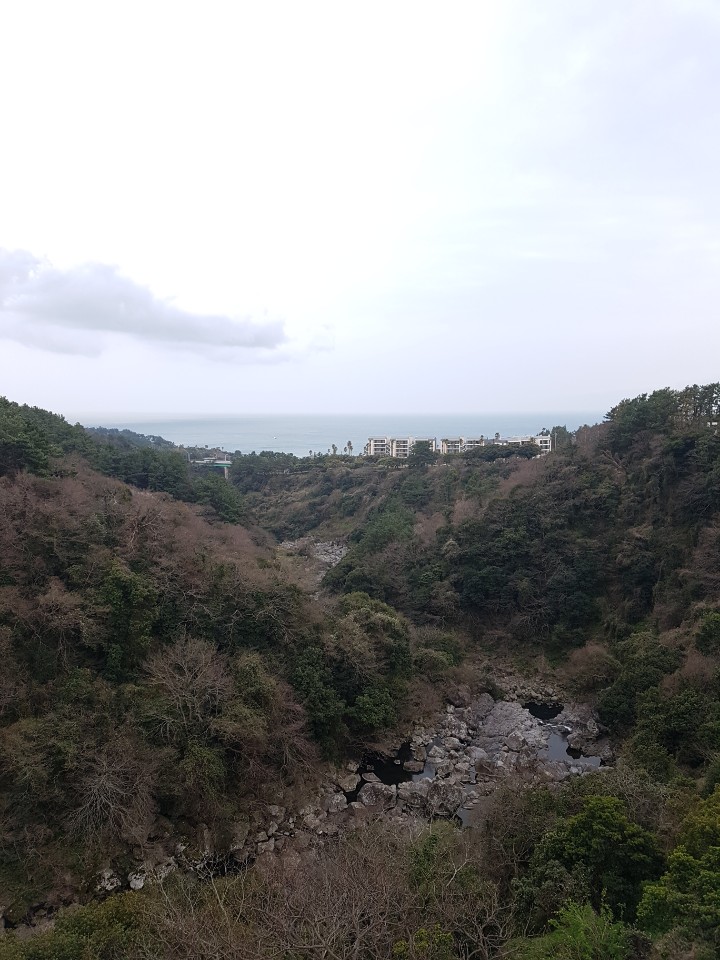 제주도 애월 게스트하우스 "웰빙" - 시간이 지나도 잊혀지지 않는 곳 관련 이미지 16