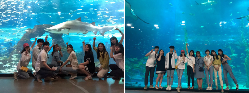 연세굿데이치과 5주년 기념 제주도 워크샵 관련 이미지 20