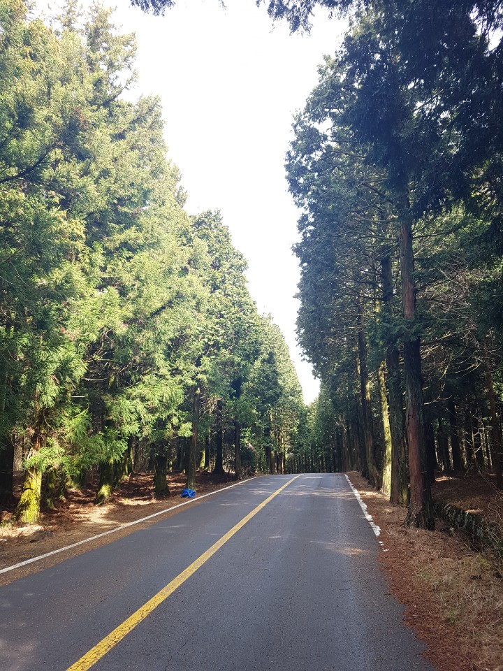 제주도 애월 게스트하우스 "웰빙" - 시간이 지나도 잊혀지지 않는 곳 관련 이미지 17