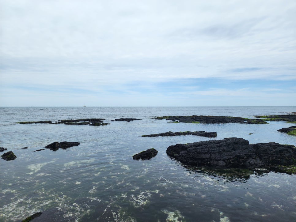 [굿데이치과 수서점] 특별했던 제주도 워크샵의 기록! 관련 이미지 27