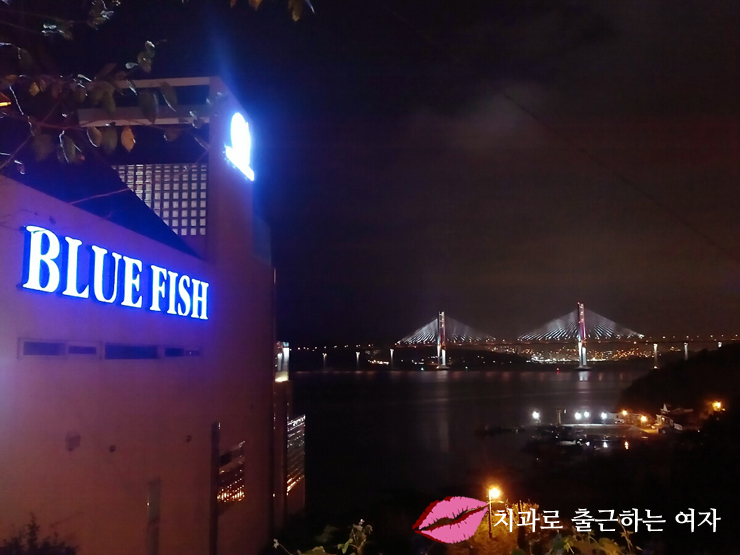 작년에 다녀온 마산가고파국화축제 + 마창대교카페 관련 이미지 8