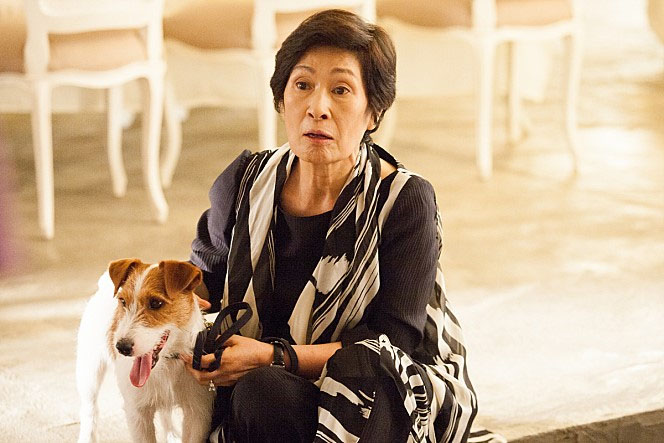 오랜만에 가슴 따뜻하게 본 영화 <개를 훔치는 완벽한 방법 How To Steal A Dog,2014> 관련 이미지 5