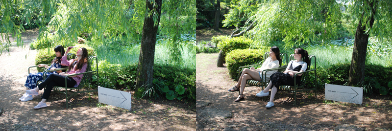 연세굿데이치과 5주년 기념 제주도 워크샵 관련 이미지 8