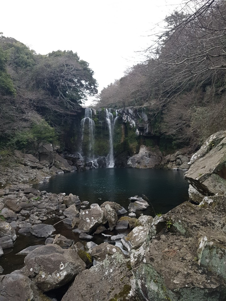 제주도 애월 게스트하우스 "웰빙" - 시간이 지나도 잊혀지지 않는 곳 관련 이미지 15