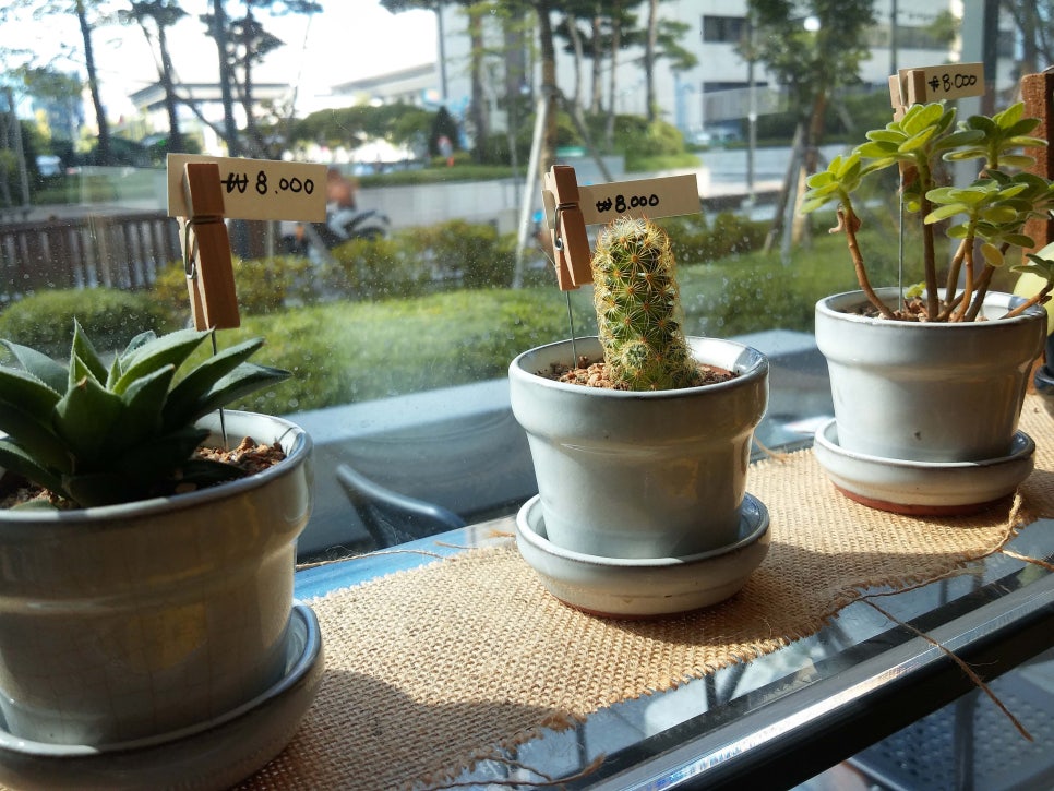 너무 예쁜 광화문 갤러리 카페 , 애드리안윤 관련 이미지 13