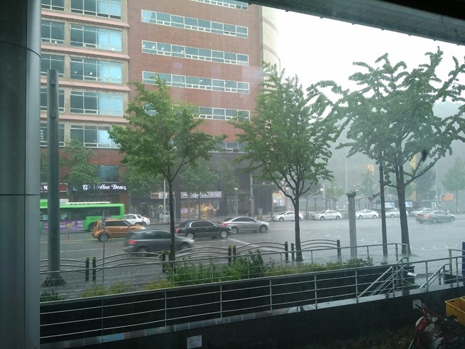 갑자기 하늘에 구멍이 난 듯 쏟아진 소나기 >.< 관련 이미지 1