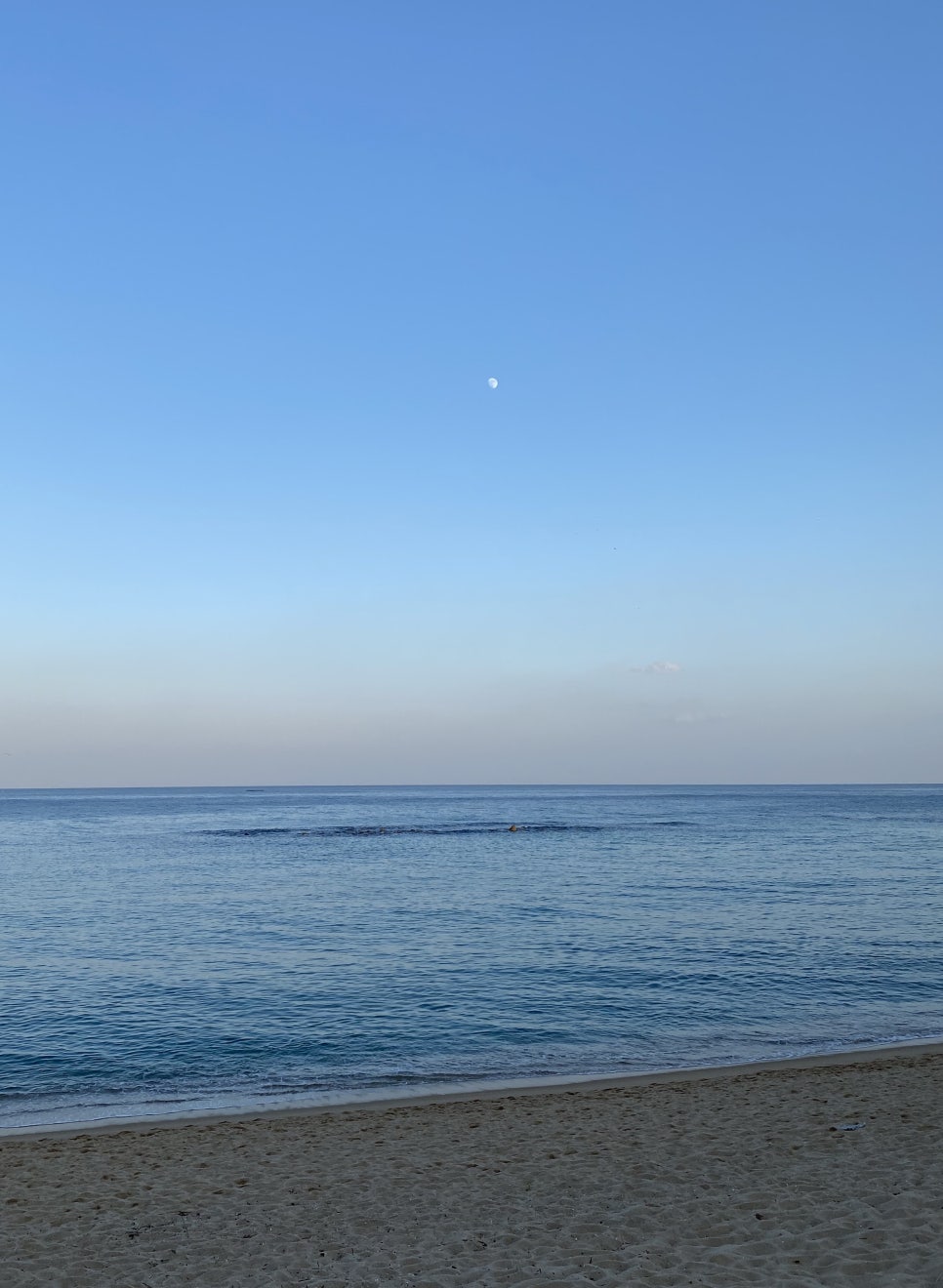 첫 순간의 설렘을 기억하며.. 관련 이미지 1