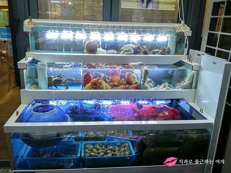 강남 자곡동 맛집 관련 이미지 3