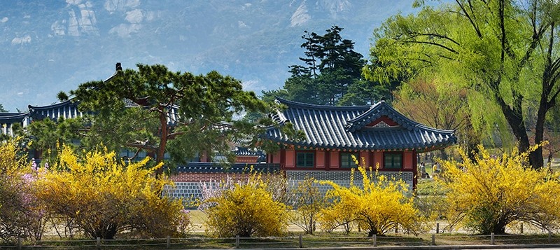 5월 서울 행사, 고궁에서 즐기는 다채로운 행사 - 관련 이미지 1