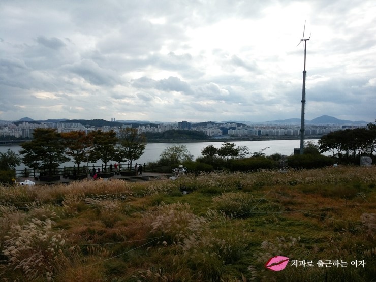 서울가을축제 - 상암동 하늘공원 서울억새축제, 엄마랑 데이트 했어욤 &hearts; 관련 이미지 5