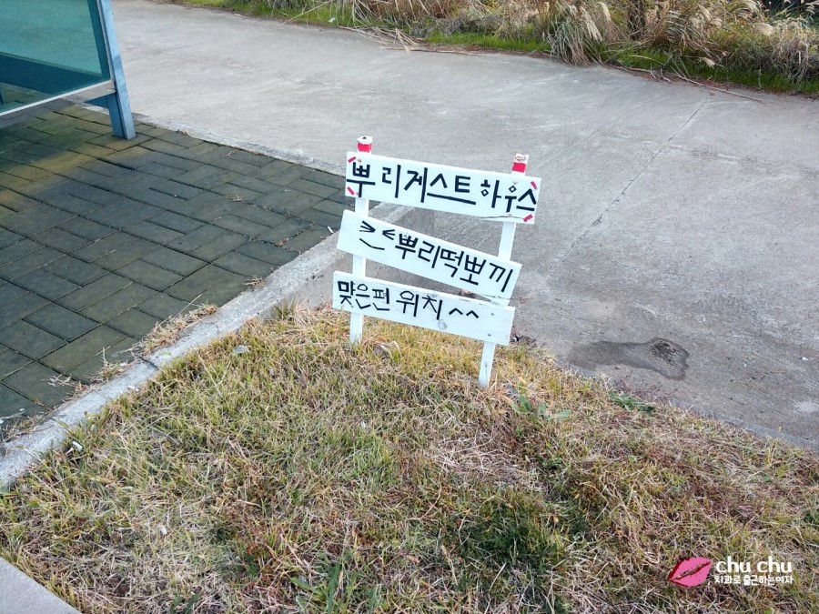 제주 게스트하우스 추천 "뿌리게스트하우스" + "뿌떡" (제주올레13길 게스트하우스) 관련 이미지 9