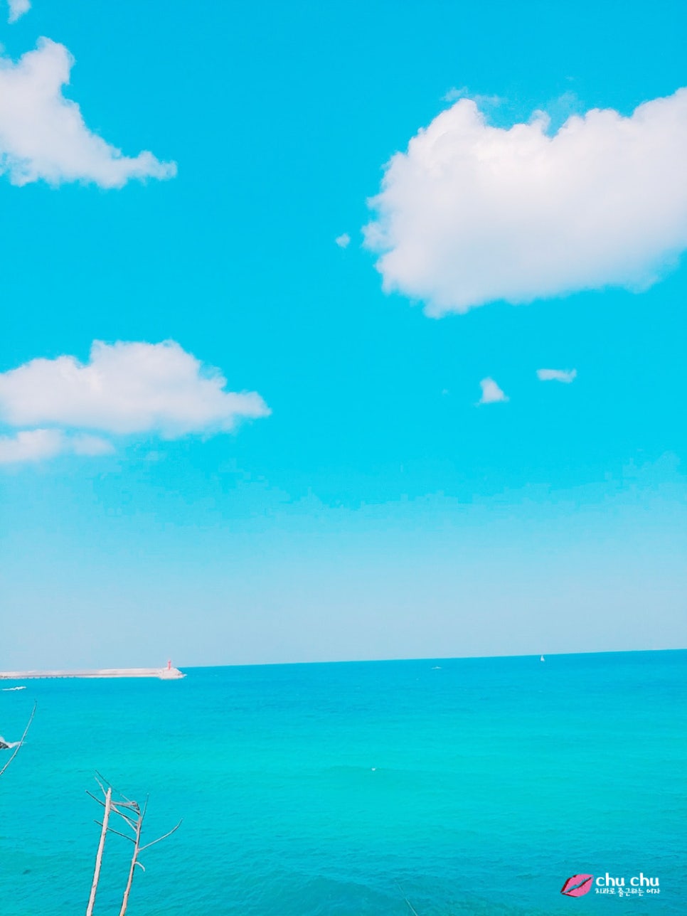 6/1(금)~2(토) 진료일정 안내 - 제주도 워크샵 가요 :) 관련 이미지 1