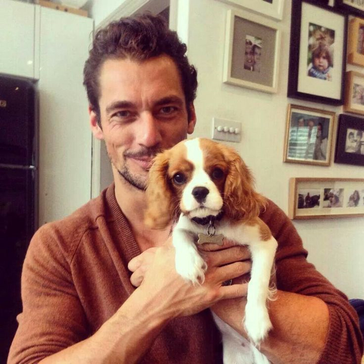 세상에서 가장 섹시한 남자, 데이비드 간디 (David James Gandy) 관련 이미지 20