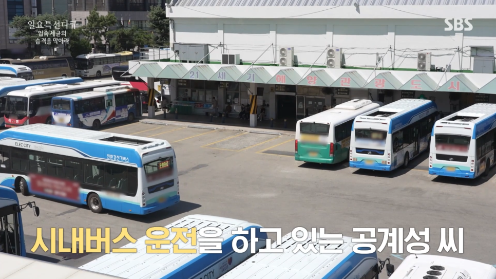 박정철 원장님 SBS 일요특선 다큐멘터리 자문의 출연 관련 이미지 1