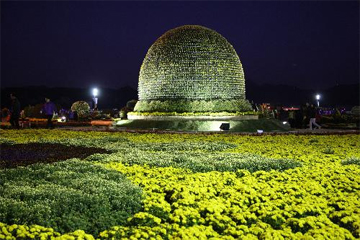 작년에 다녀온 마산가고파국화축제 + 마창대교카페 관련 이미지 4