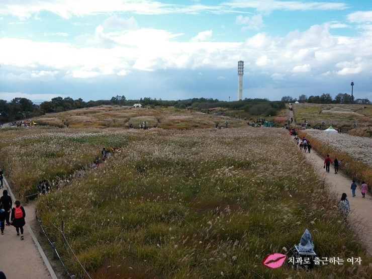 서울가을축제 - 상암동 하늘공원 서울억새축제, 엄마랑 데이트 했어욤 &hearts; 관련 이미지 11