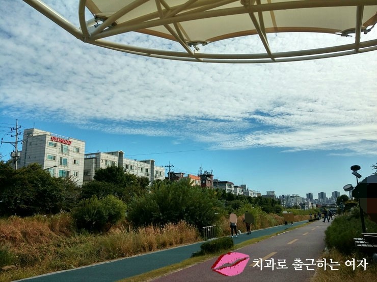 추석 연휴 마지막날은 여유롭게 산책하기로 마무리 :) 관련 이미지 2