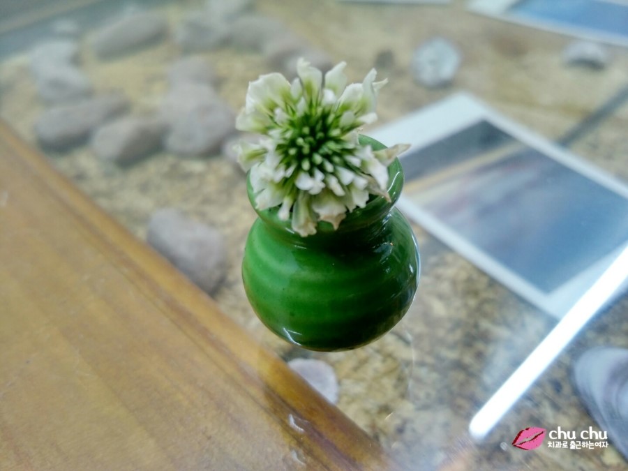 제주 게스트하우스 추천 "뿌리게스트하우스" + "뿌떡" (제주올레13길 게스트하우스) 관련 이미지 24