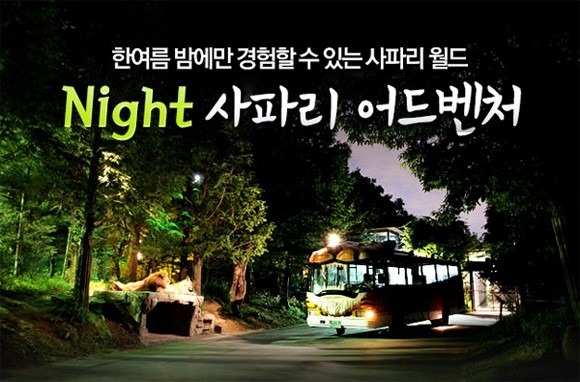 남은 8월을 즐기는 방법, 8월 축제 - 에버랜드 썸머스플래쉬 & 나이트 사파리 관련 이미지 7