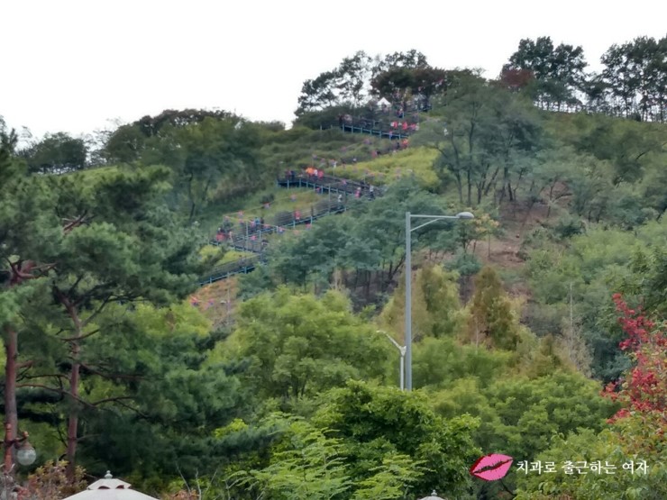 서울가을축제 - 상암동 하늘공원 서울억새축제, 엄마랑 데이트 했어욤 ♥ 관련 이미지 2
