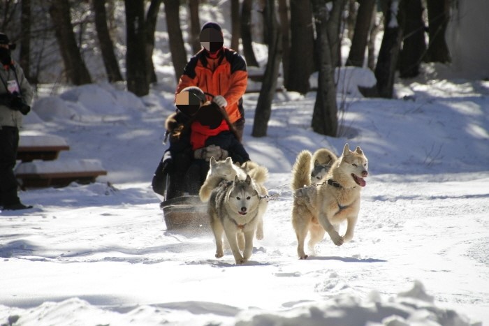겨울축제추천, 태백산 눈축제 좋을 것 같아요^^ 관련 이미지 8