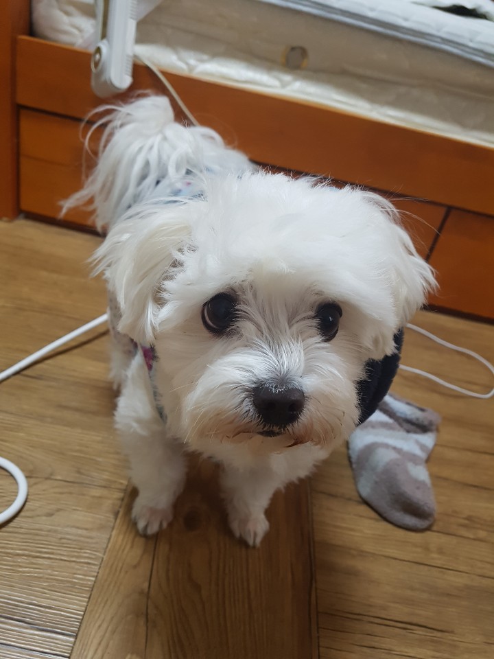 제주도 애월 게스트하우스 "웰빙" - 시간이 지나도 잊혀지지 않는 곳 관련 이미지 9