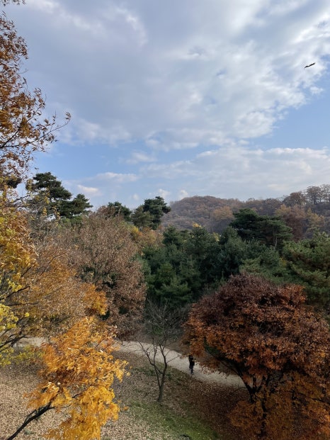 가을의 정취, 만끽하며 느껴봐요 관련 이미지 1