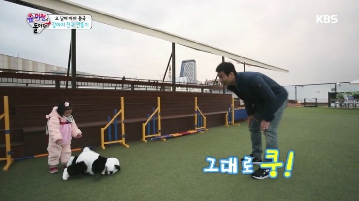 치명적 귀여움, 슈돌 대박이 판다 변신 (영상有), 귀욤주의 관련 이미지 3