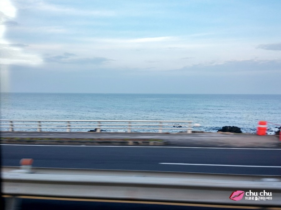 제주 게스트하우스 추천 "뿌리게스트하우스" + "뿌떡" (제주올레13길 게스트하우스) 관련 이미지 1