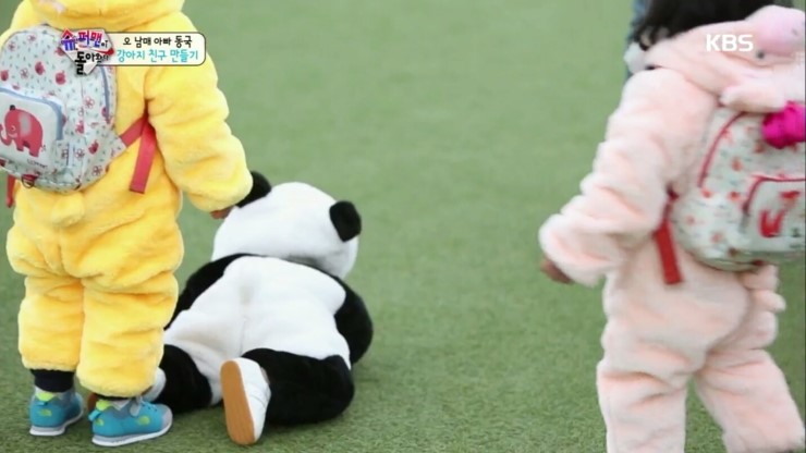 치명적 귀여움, 슈돌 대박이 판다 변신 (영상有), 귀욤주의 관련 이미지 5