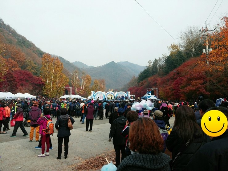 소요산 단풍축제 한대요 ^^ ( 저는 작년에 다녀왔어욤 ㅎ ) 관련 이미지 2