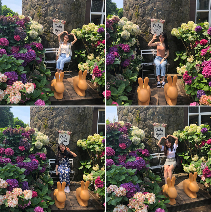 연세굿데이치과 5주년 기념 제주도 워크샵 관련 이미지 9