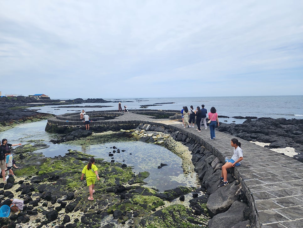[굿데이치과 수서점] 특별했던 제주도 워크샵의 기록! 관련 이미지 28