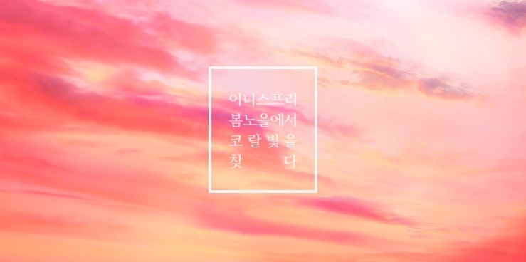 촉촉하고 생생한 이니스프리 글로우 틴트 스틱 1+1 구입 (저녁7시 석양 & 장미빛 봄 석양) 관련 이미지 1