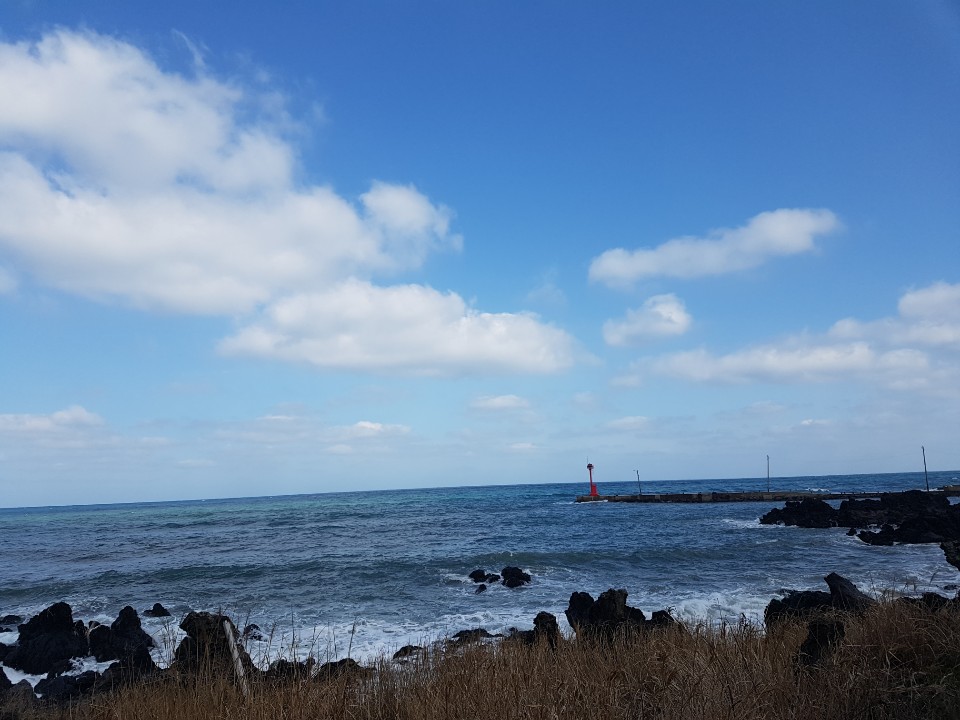 제주도 애월 게스트하우스 "웰빙" - 시간이 지나도 잊혀지지 않는 곳 관련 이미지 22