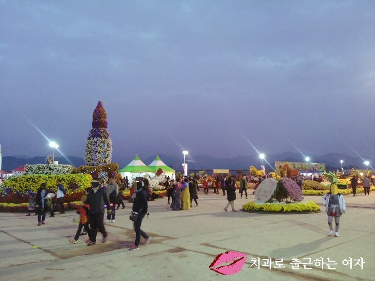 작년에 다녀온 마산가고파국화축제 + 마창대교카페 관련 이미지 6