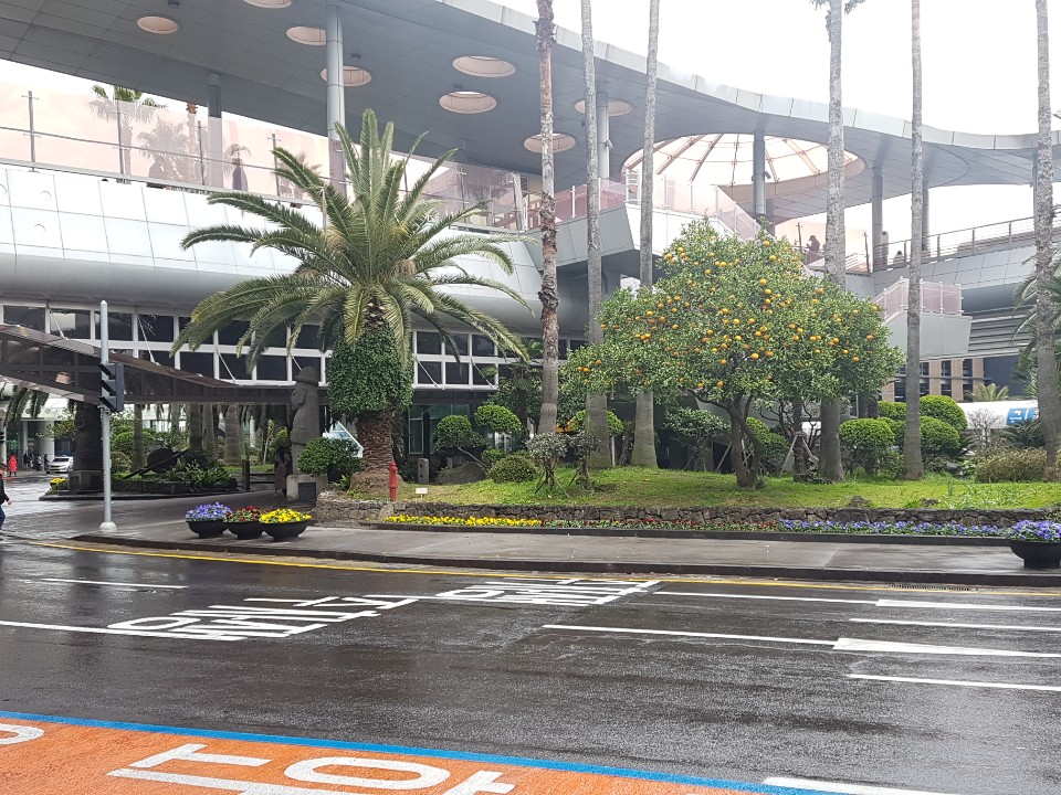 제주도 애월 게스트하우스 "웰빙" - 시간이 지나도 잊혀지지 않는 곳 관련 이미지 1