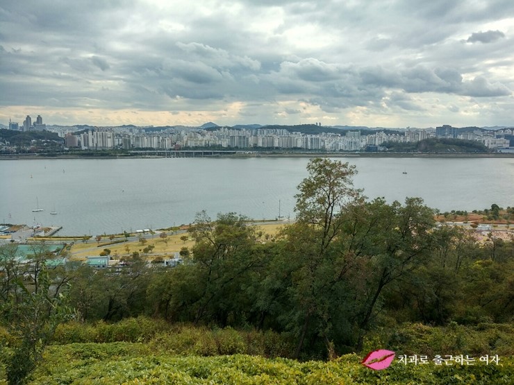 서울가을축제 - 상암동 하늘공원 서울억새축제, 엄마랑 데이트 했어욤 &hearts; 관련 이미지 4