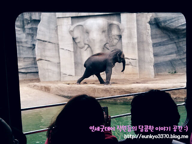 남은 8월을 즐기는 방법, 8월 축제 - 에버랜드 썸머스플래쉬 & 나이트 사파리 관련 이미지 6