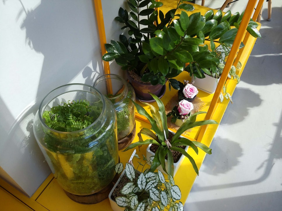 너무 예쁜 광화문 갤러리 카페 , 애드리안윤 관련 이미지 6