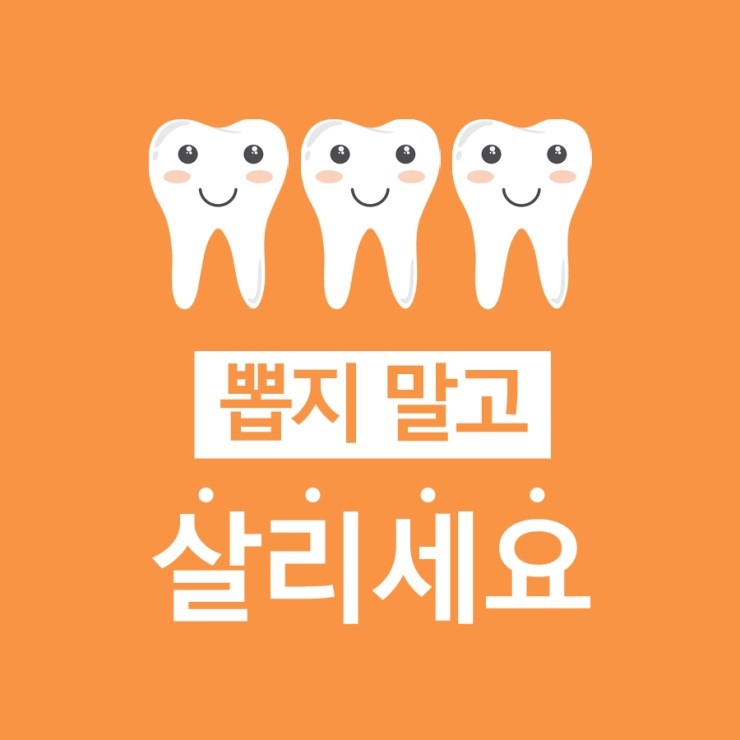 눈으로 보는 것보다 19배 확대되는 미세현미경, 치아살리기에 사용됩니다 ^^ 관련 이미지 3