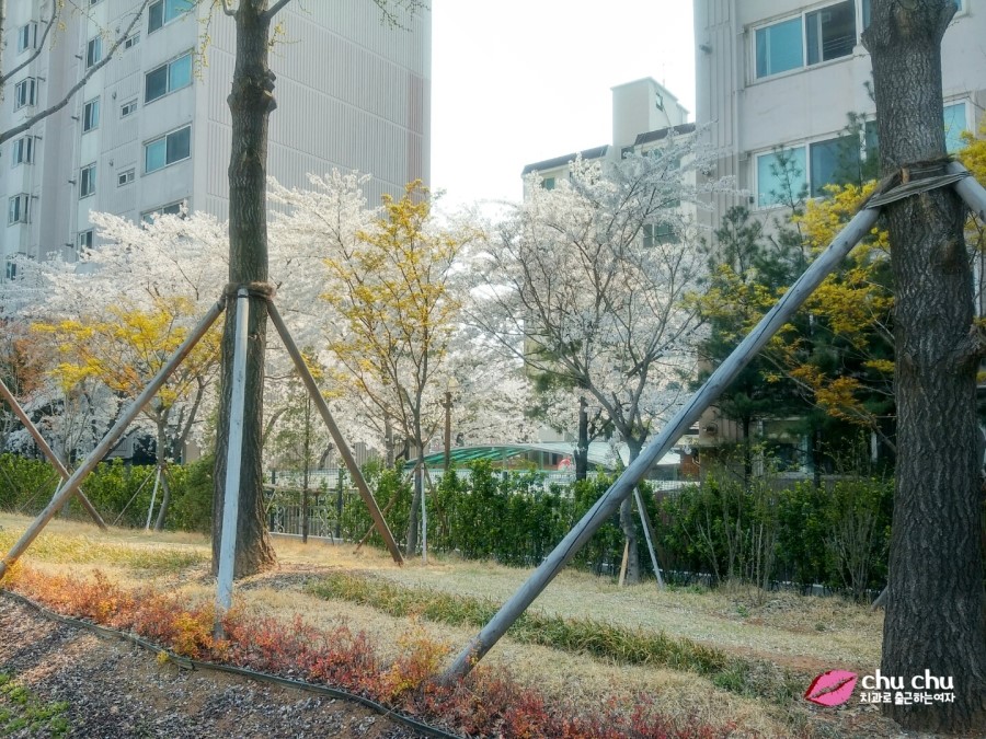 홍대 연남동 브런치 맛집, 플랩잭팬트리(Flapjack Pantry) 관련 이미지 2