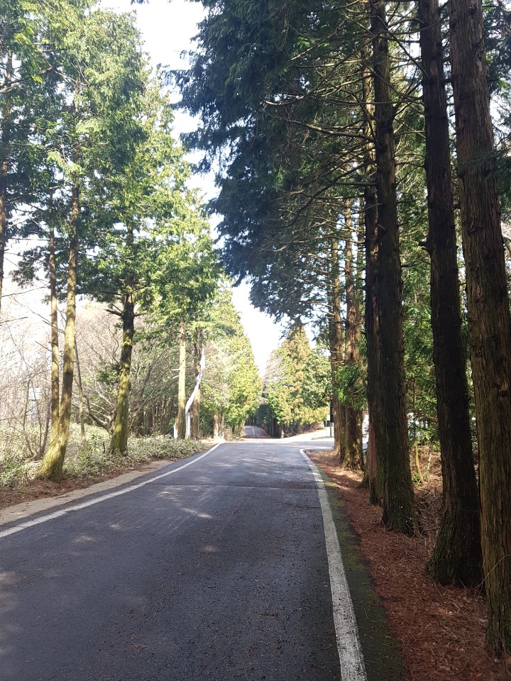 제주도 애월 게스트하우스 "웰빙" - 시간이 지나도 잊혀지지 않는 곳 관련 이미지 19