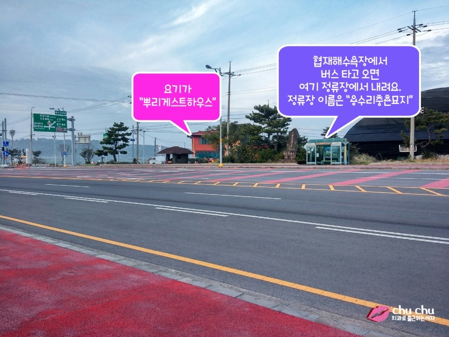 제주 게스트하우스 추천 "뿌리게스트하우스" + "뿌떡" (제주올레13길 게스트하우스) 관련 이미지 4