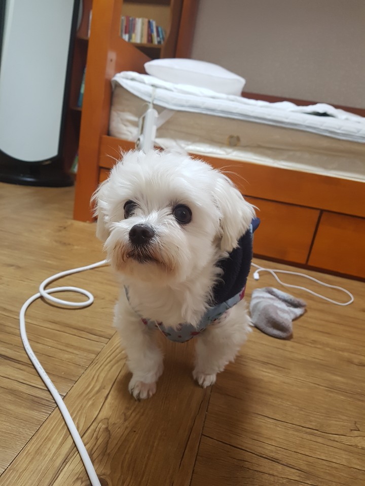 제주도 애월 게스트하우스 "웰빙" - 시간이 지나도 잊혀지지 않는 곳 관련 이미지 8