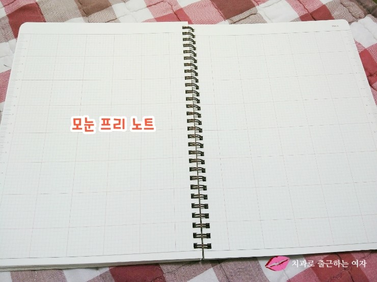 2016년 큰 다이어리 구입, 스프링 다이어리 + 아이코닉 데코펜 세트 관련 이미지 10