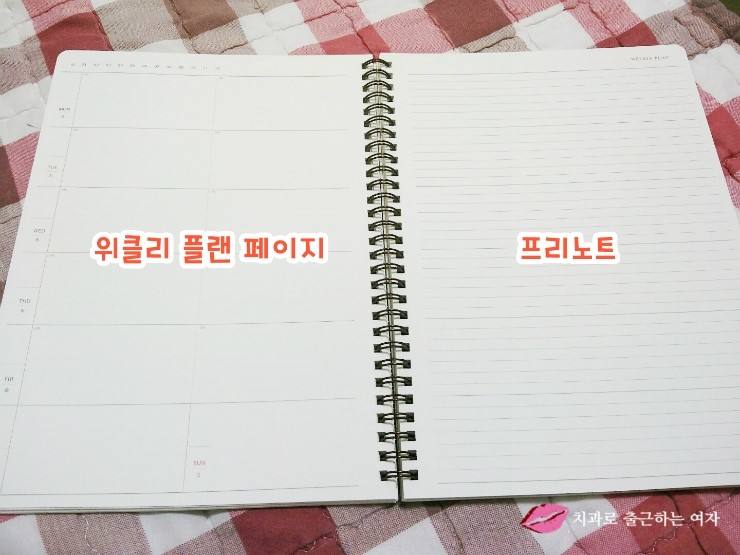 2016년 큰 다이어리 구입, 스프링 다이어리 + 아이코닉 데코펜 세트 관련 이미지 8