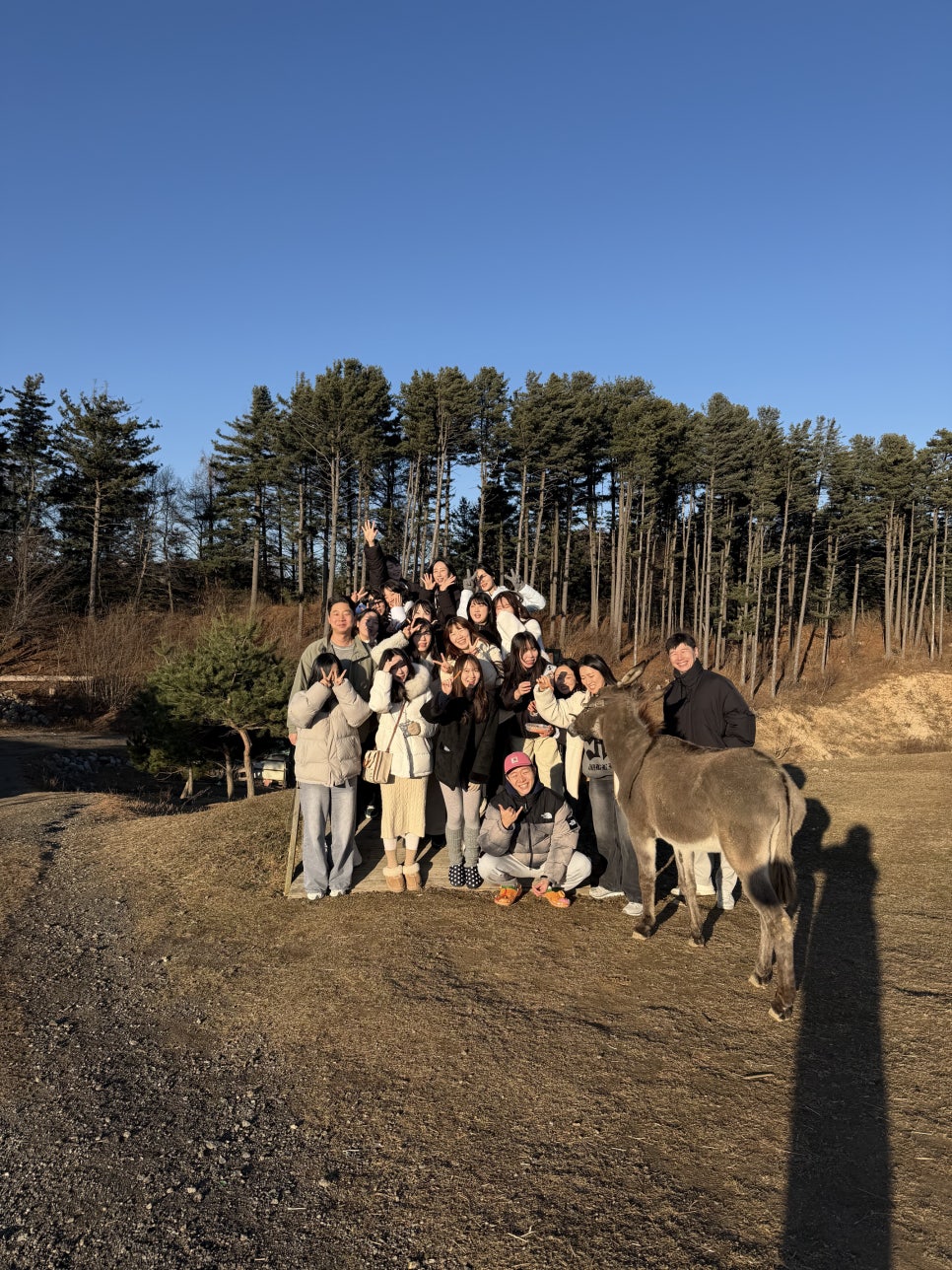 연세굿데이치과, 쉼없이 달려온 2025년을 보내며 관련 이미지 26