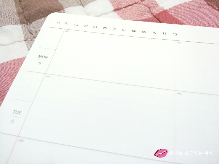 2016년 큰 다이어리 구입, 스프링 다이어리 + 아이코닉 데코펜 세트 관련 이미지 9