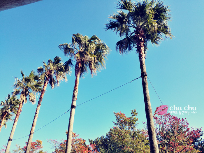 제주도 날씨 좋았을 때, 켄싱턴호텔, 추억 &hearts; 관련 이미지 1